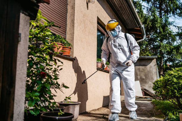 Best Pest Removal Services  in Ellitt, CO