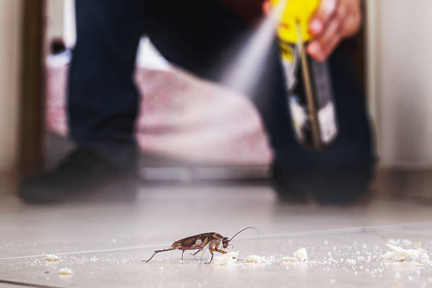 Ellicott, CO Pest Control Company